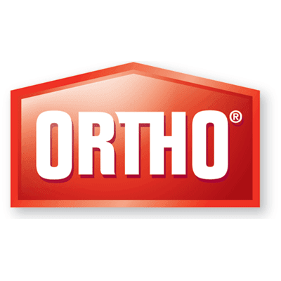 Ortho thumbnail